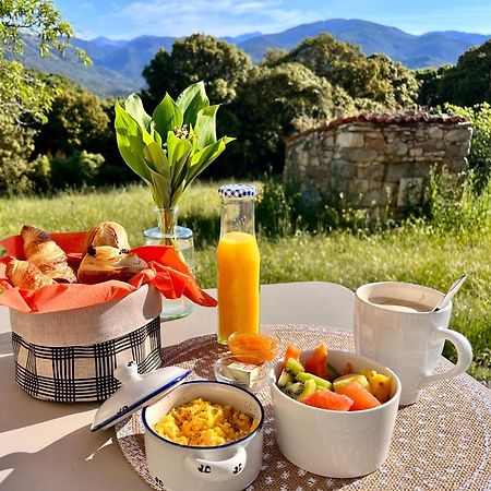 Tradition Corse Et Modernite A Cantina Granace Kültér fotó
