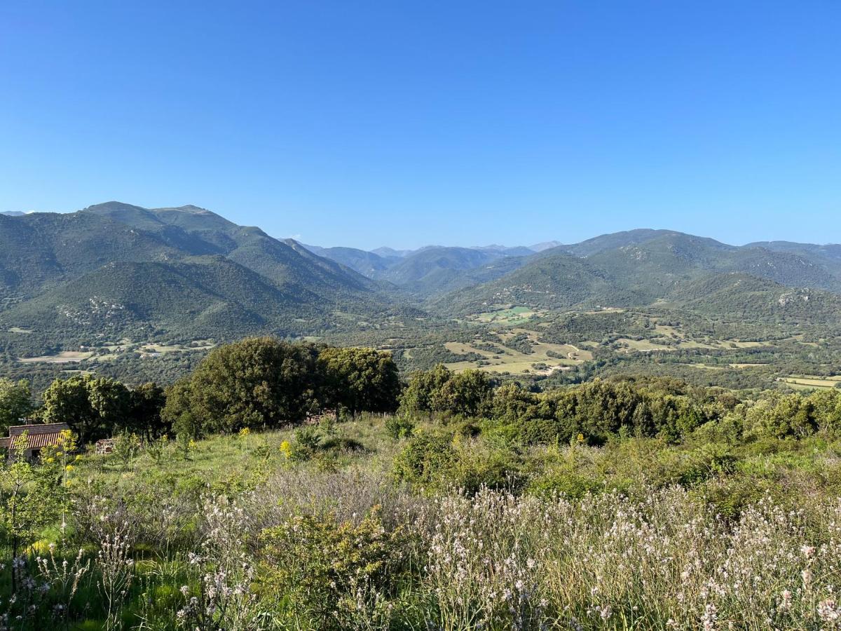 Tradition Corse Et Modernite A Cantina Granace Kültér fotó