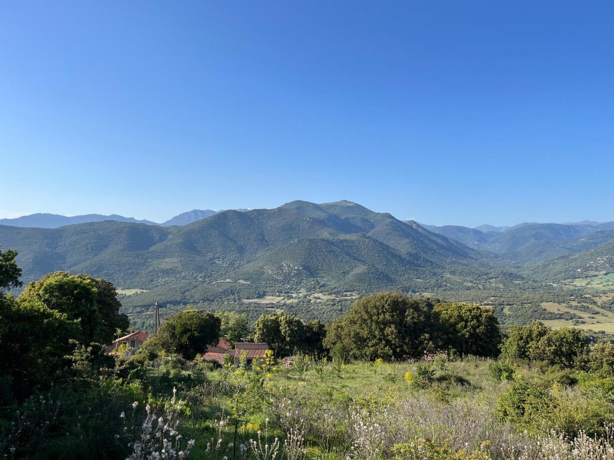 Tradition Corse Et Modernite A Cantina Granace Kültér fotó