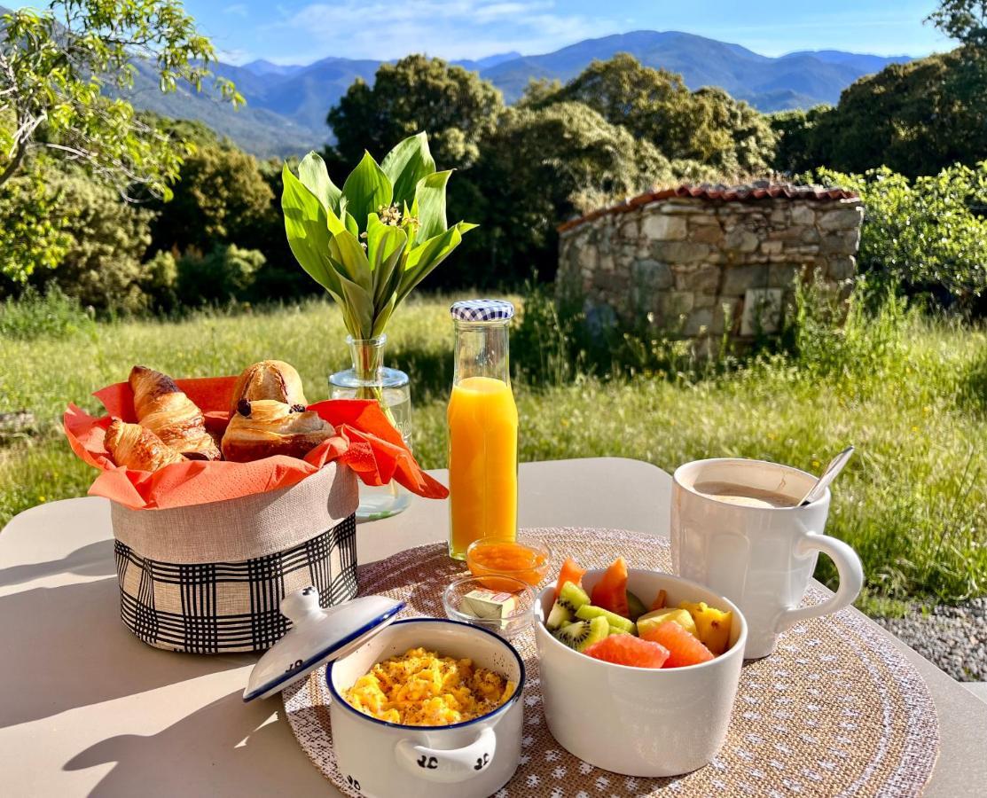 Tradition Corse Et Modernite A Cantina Granace Kültér fotó